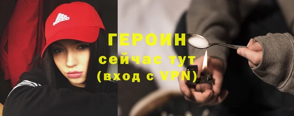 гидра Арсеньев