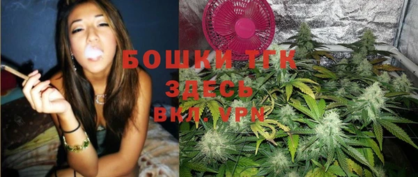 Альфа ПВП Аркадак