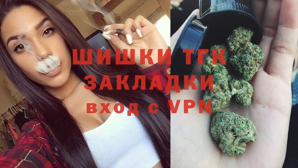 гидра Арсеньев