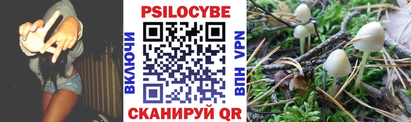 Купить  Томилино  Псилоцибиновые грибы мухоморы 